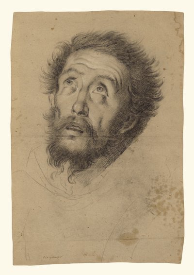 Hoofd van de heilige Franciscus (recto); Studies van het hoofd van de heilige Franciscus, het hoofd van een oude man en twee rechterhanden (verso) door Bernardo Strozzi