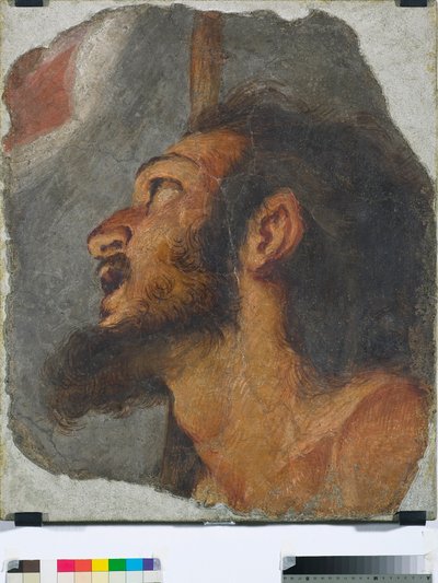 Hoofd van Johannes de Doper (fragment van losgemaakte fresco) door Bernardo Strozzi