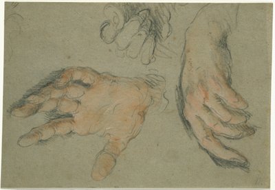 Studie van drie handen door Bernardo Strozzi