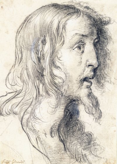 Het hoofd van Christus in profiel naar rechts door Bernardo Strozzi