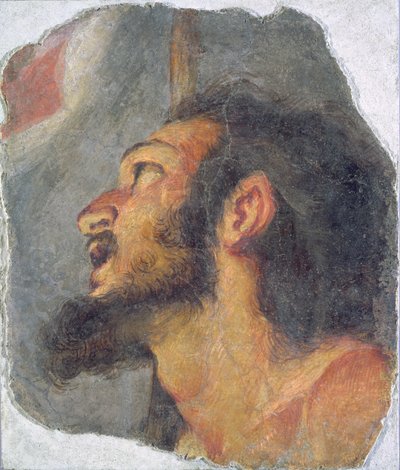 Het hoofd van Johannes de Doper, fragment van een fresco door Bernardo Strozzi