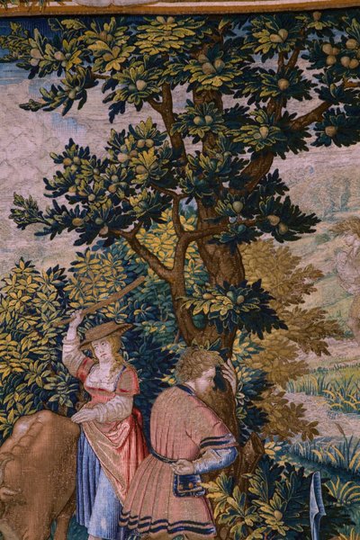Vlaamse wandtapijt. Serie De stichting van Rome: Faustulus ontmoet Romulus en Remus. Tekenaar Barend van Orley (?). Brusselse fabricage. 1525-1530. (detail) door Bernart van (attr. to) Orley