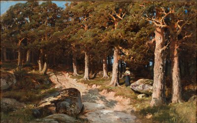 Vrouw in het bos door Berndt Lindholm