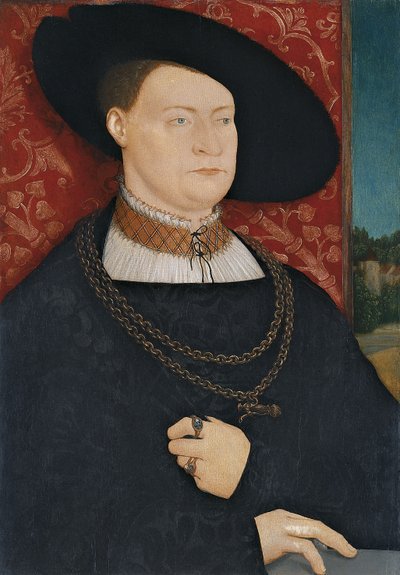 Portret van een Man door Bernhard Strigel