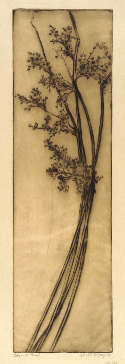 Bajonet Rush door Bertha E. Jaques