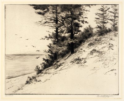 Duneland door Bertha E. Jaques