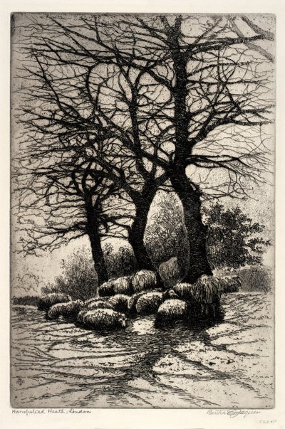 Hampstead Heath, Londen door Bertha E. Jaques