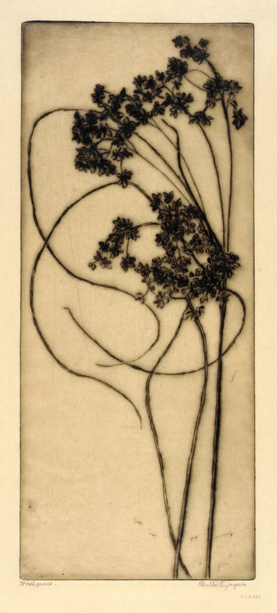 Woolgrass door Bertha E. Jaques