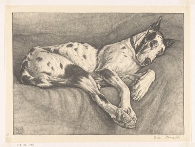 Slapende hond door Bertha van Hasselt (signed by artist)