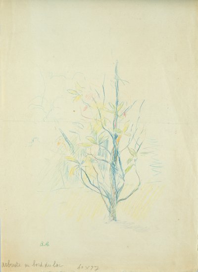 Struiken bij het meer, 1893 door Berthe Morisot
