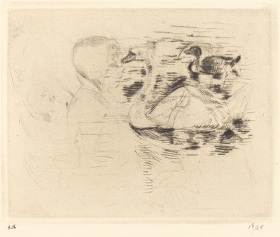Zwanen bij Stilstaand Water door Berthe Morisot