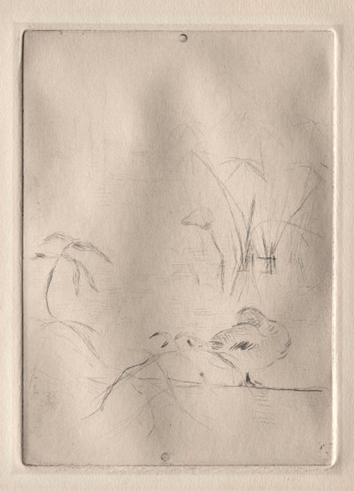 De Eend door Berthe Morisot