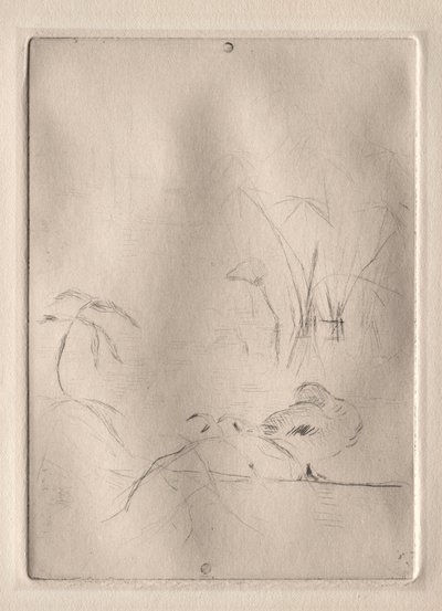 De Eend door Berthe Morisot