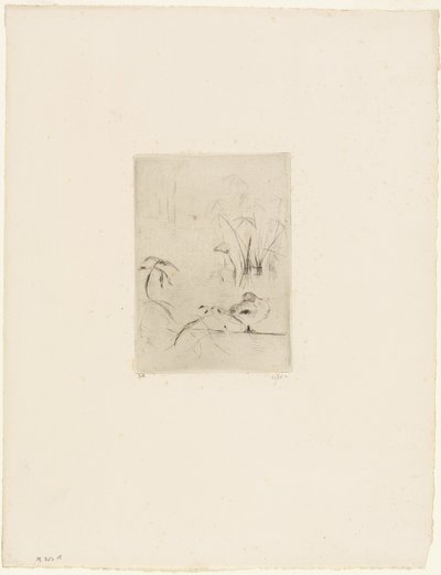 De Eend door Berthe Morisot