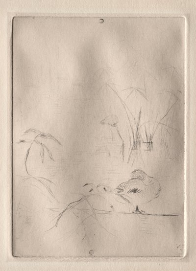 De eend door Berthe Morisot
