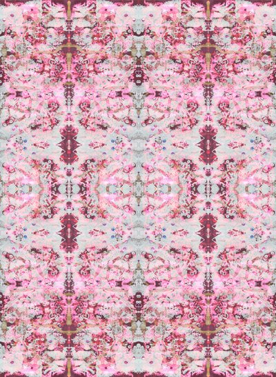 Burgandy Rose, 2015 (gemengde techniek, illustratie, digitaal) door Beth Travers