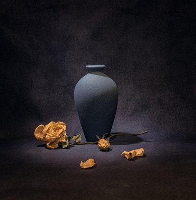 Stilleven met donkerblauwe roos door Betty Liu