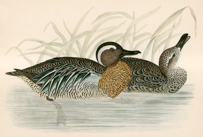 Wintertaling door Beverley R. Morris