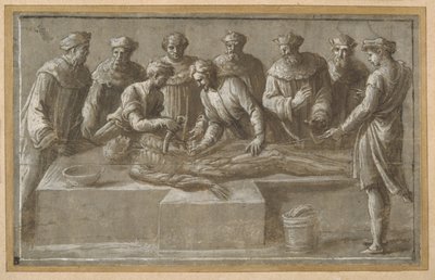 Zes professoren in de anatomie, die een gevilde mannelijke lijk ontleden door Biagio Pupini