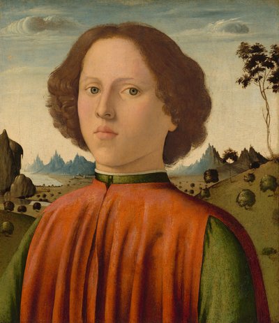Portret van een jongen, c. 1476-1480 door Biagio d