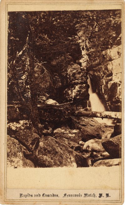Stroomversnellingen en Watervallen, Franconia Notch, New Hampshire door Bierstadt Brothers