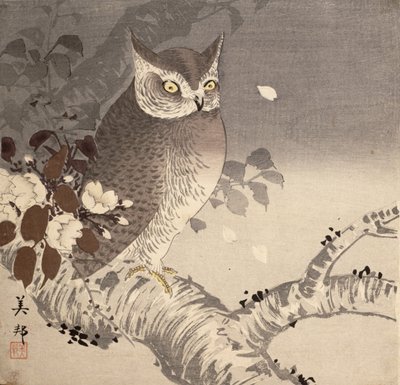 Een uil op een boomtak door Biho Takashi or Takahashi (b. 1873. fl 1890 1930)