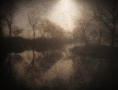 Weerspiegeling in het mistige bos door Bill Eiffert