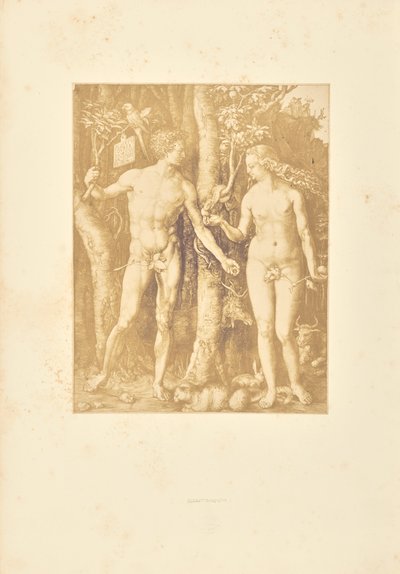 Adam en Eva door Bisson Frères