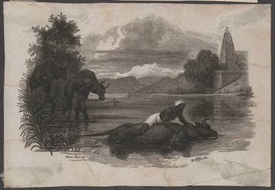 Boeren dragen dood vee, ca. 1850 (gravure) door Blasius Höfel