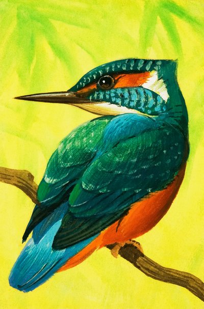 IJsvogel. door Bob Hersey
