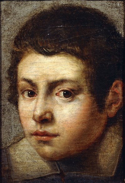 Het hoofd van een jonge jongen door Bolognese School