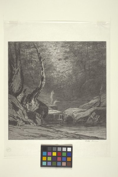 Kromme Boom door Bolton Coit Brown