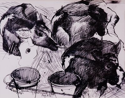 Kalfjes, nat, pasgeboren, 1978 door Brenda Brin Booker
