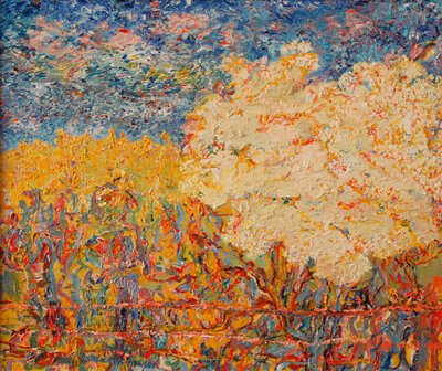 De Vlierboom II door Brenda Brin Booker