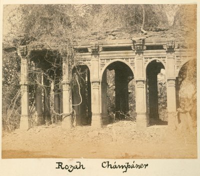 Rozah, Champaner, c.1875 door British Photographer