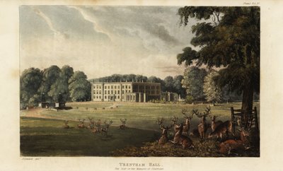 Kudde herten voor Trentham Hall door British School