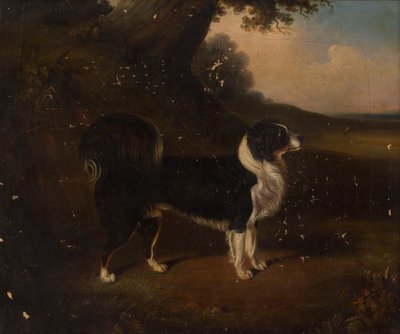 Portret van een hond door British School