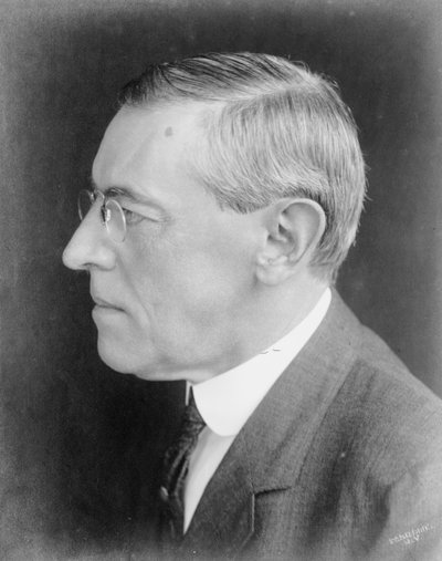 Woodrow Wilson door Brothers Pach