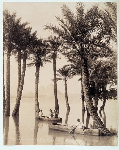 Een palmbos aan de voet van de piramides van Egypte - foto door de gebroeders Zangali, eind 19e eeuw door Brothers Zangaki