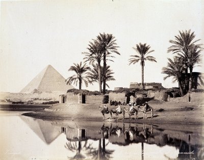 Kamelen drinken aan de voet van de piramides van Egypte - foto door de Zangali broers, eind 19e eeuw door Brothers Zangaki