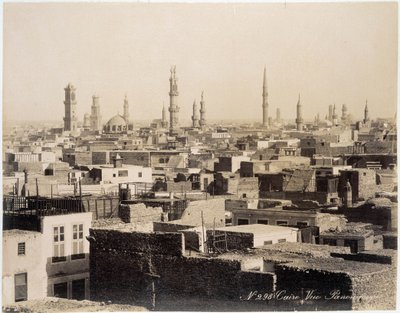 Uitzicht op de daken van Caïro - foto van de Zangali Brothers, eind 19e eeuw door Brothers Zangaki