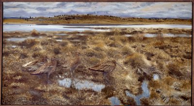 Wulpen in de moerassen door Bruno Andreas Liljefors