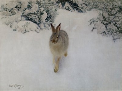 Haas in de Winter door Bruno Andreas Liljefors