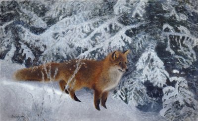 Wintervos door Bruno Andreas Liljefors