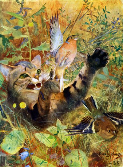 Een Kat en een Vink, 1885 1945 door Bruno Andreas Liljefors
