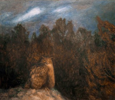 De uil diep in het bos door Bruno Andreas Liljefors