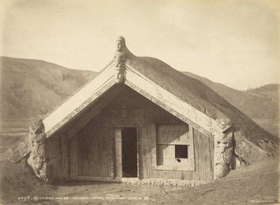 Runanga House - Wairoa - Na de Uitbarsting 10 juni 1886, juli 1886 door Burton Brothers Studio