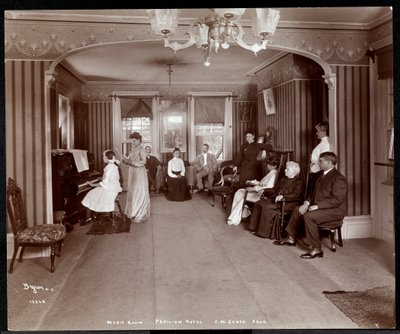 Recital in de Muziekkamer in Janer