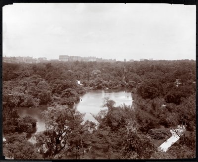 Uitzicht op Central Park vanaf het Plaza Hotel, 5th Avenue en 59th Street, New York, 1907 door Byron Company