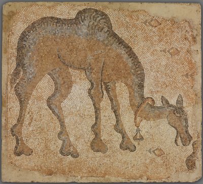 Mozaïekfragment met grazende kameel door Byzantine